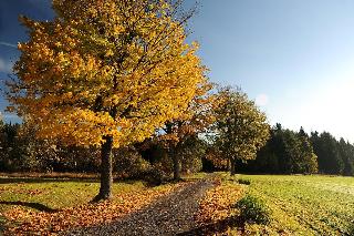 Kreuztanne fotoÄŸrafÄ±