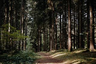 Sonnenhotel Hoher Hahn fotoÄŸrafÄ±