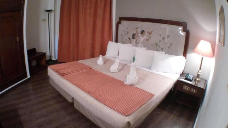 Zayed Hotel - Oda