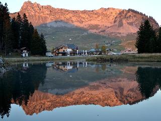 Logis Chalet Hotel Vaccapark