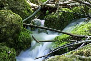 Warmbaderhof fotoÄŸrafÄ±