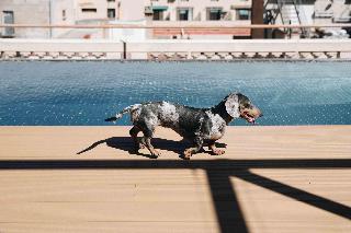 Kimpton Vividora Hotel fotoÄŸrafÄ±