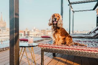 Kimpton Vividora Hotel fotoÄŸrafÄ±
