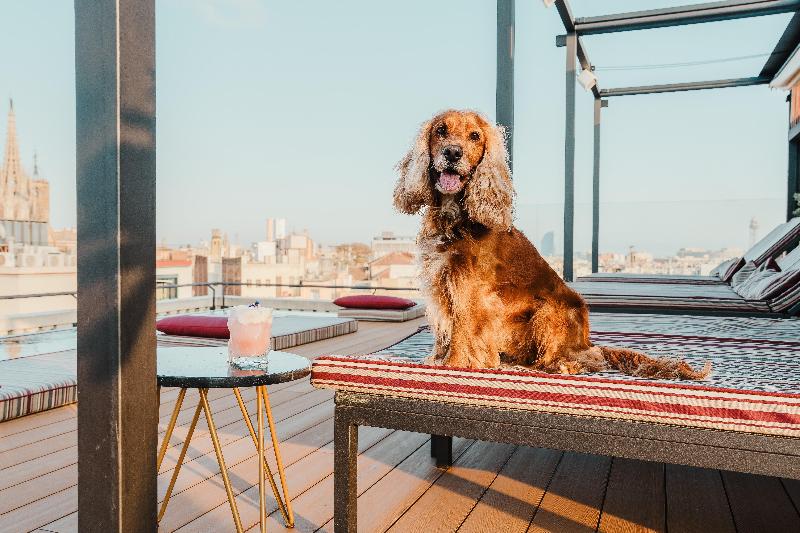 Kimpton Vividora Hotel - Genel