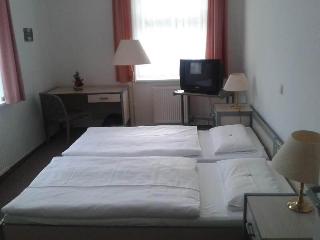 Spreewaldhotel Leipe fotoÄŸrafÄ±