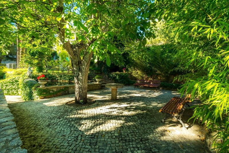 Casa Vela Guest House - Genel
