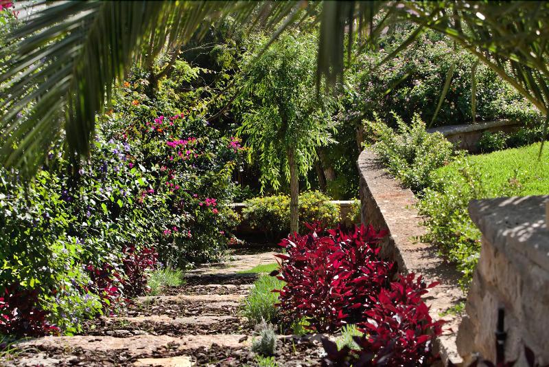 Casa Vela Guest House - Genel
