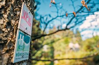 Waldhotel Vogtland fotoÄŸrafÄ±