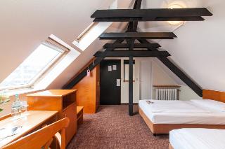 Hotel Ahl Meerkatzen fotoÄŸrafÄ±