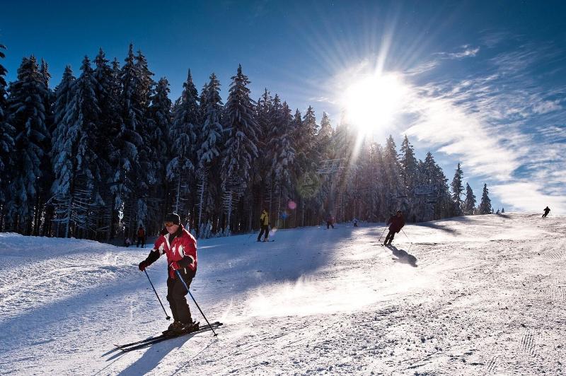 Lipno Lake Resort - Aktivite
