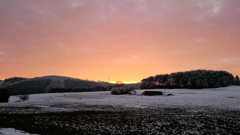 Lindenhof - Aktivite