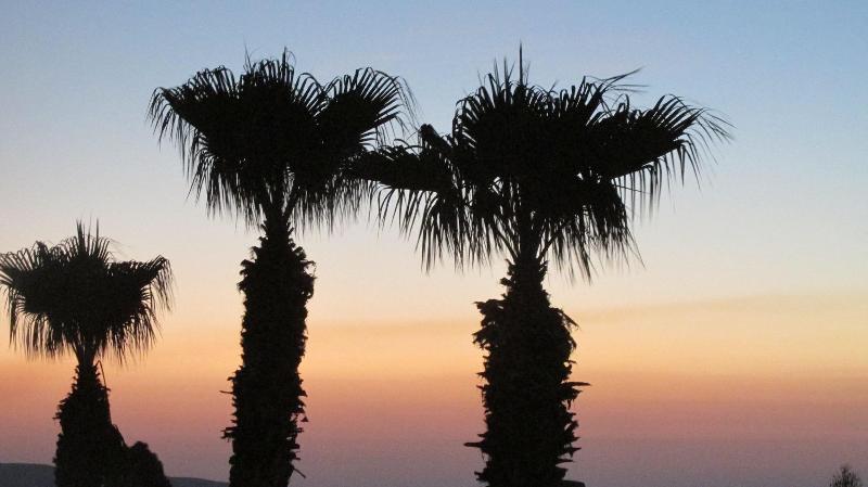 Pigeon Beach Hotel Apartments - Genel
