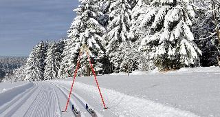 Thüringer Schieferhof fotoÄŸrafÄ±