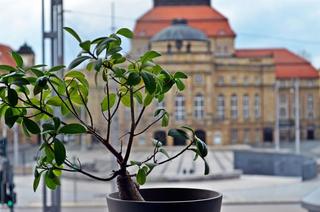 Hotel An der Oper fotoÄŸrafÄ±
