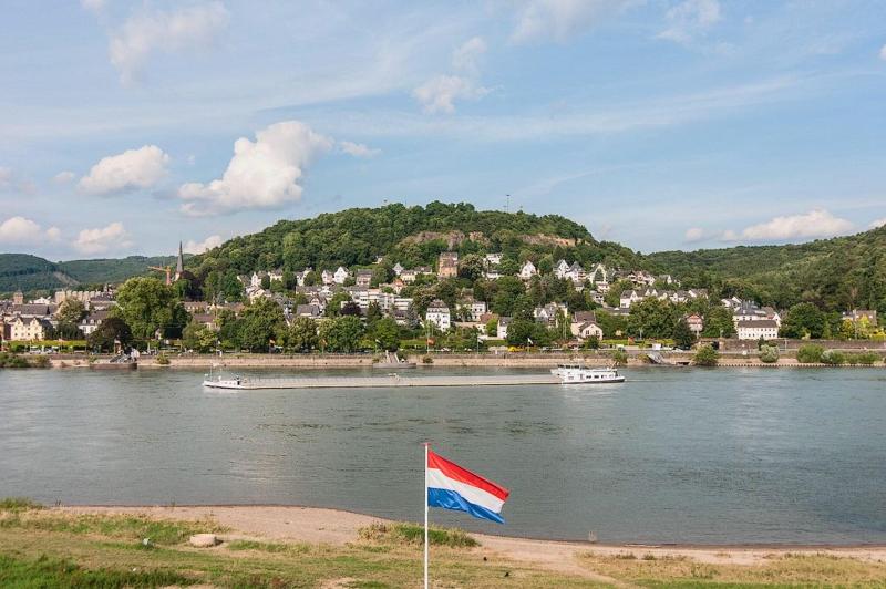 RheinHotel Arte - Genel