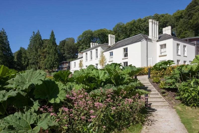 The Cornwall Hotel Spa & Estate - Teras