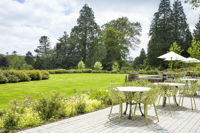 The Cornwall Hotel Spa & Estate - Teras