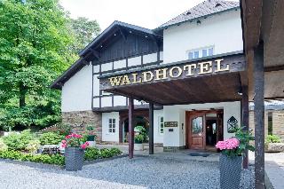 Romantik Waldhotel Mangold fotoÄŸrafÄ±