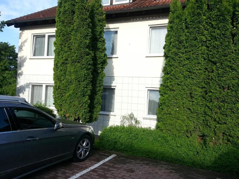 Panorama - Genel