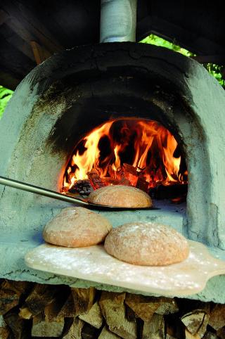 Beck fotoÄŸrafÄ±