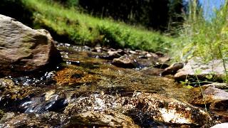 Beck fotoÄŸrafÄ±