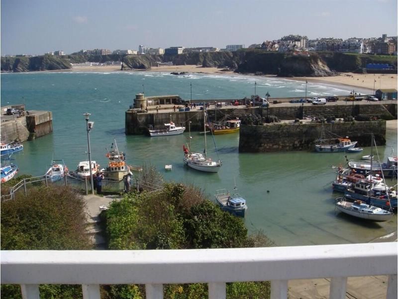 The Harbour - Guest House - Genel