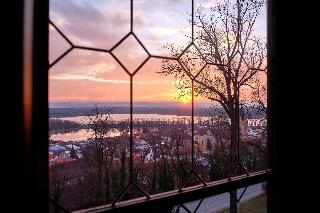 Stekl fotoÄŸrafÄ±