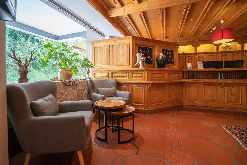 Hôtel des Alpes - Lobi
