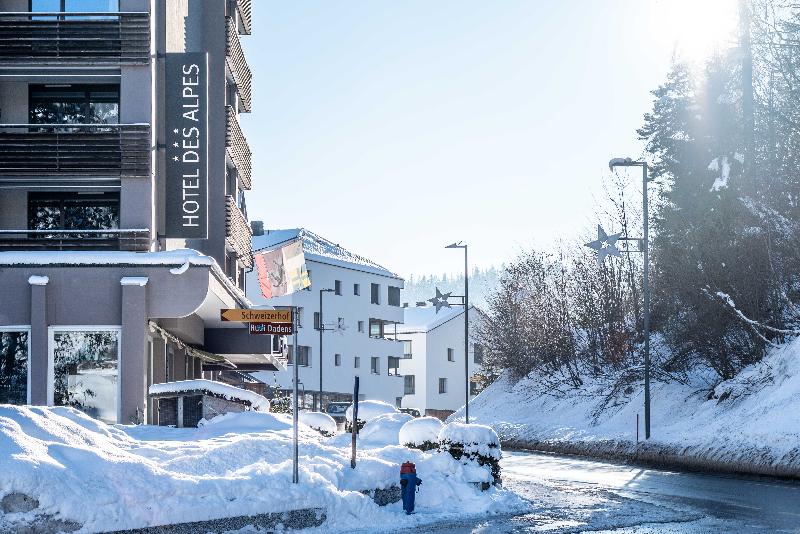 Hôtel des Alpes - Genel