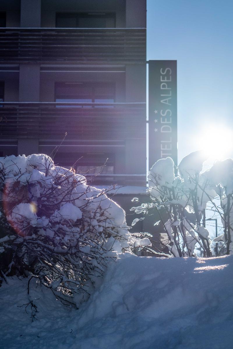 Hôtel des Alpes - Genel