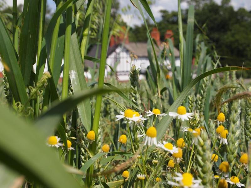 Donington Park Farmhouse Hotel - Genel