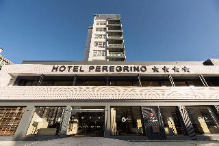 Exe Peregrino