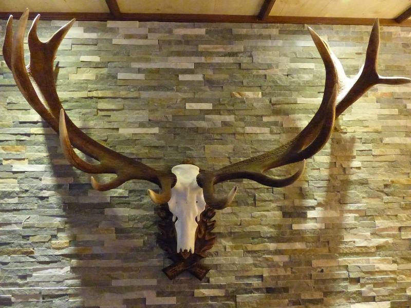 Hotel Sportalm Gipfelglück - Aktivite