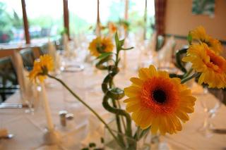 GreenLine Landhotel Dresden fotoÄŸrafÄ±
