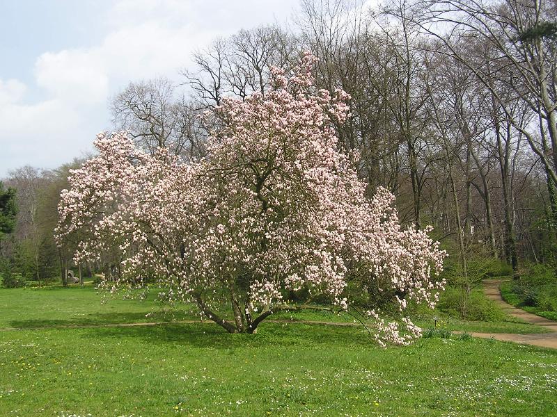 Schloss Eckberg - Genel