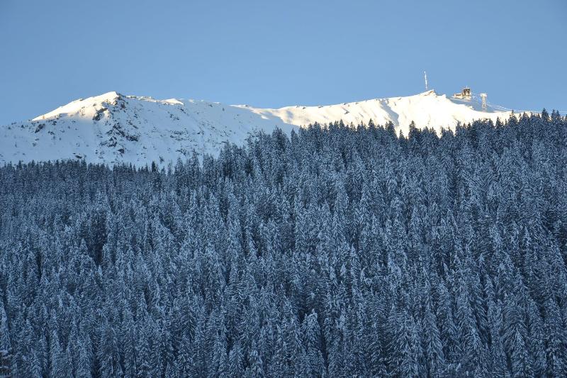 Sport-Lodge Klosters - Aktivite