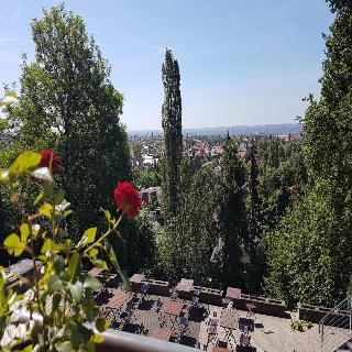 Wilder Mann fotoÄŸrafÄ±