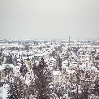 Wilder Mann fotoÄŸrafÄ±