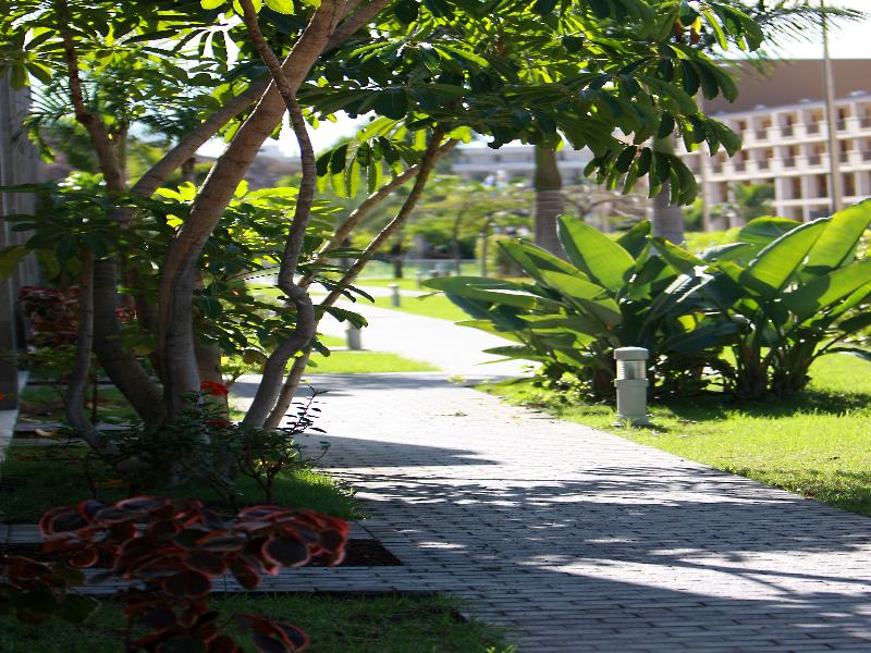 Hotel LIVVO Costa Taurito - Genel