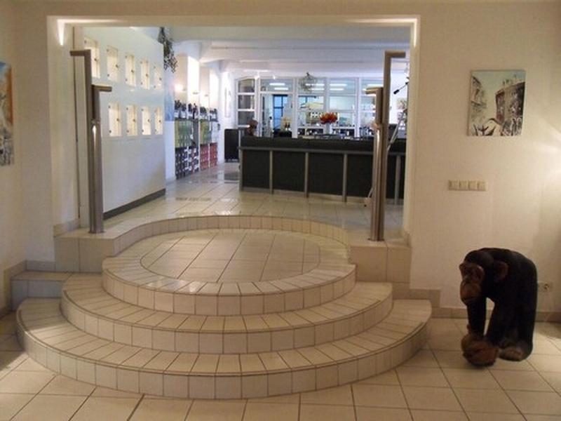 Auberge Mistral - Aktivite