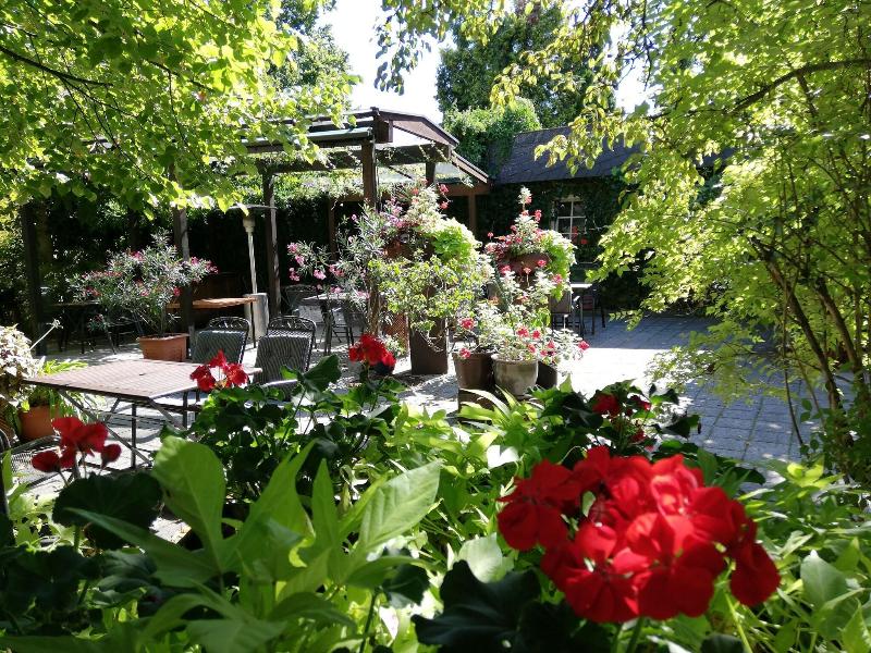 Auberge Mistral - Teras