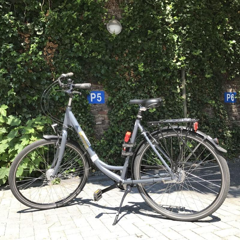 Conti Duisburg - Aktivite