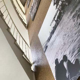 Conti Duisburg fotoÄŸrafÄ±