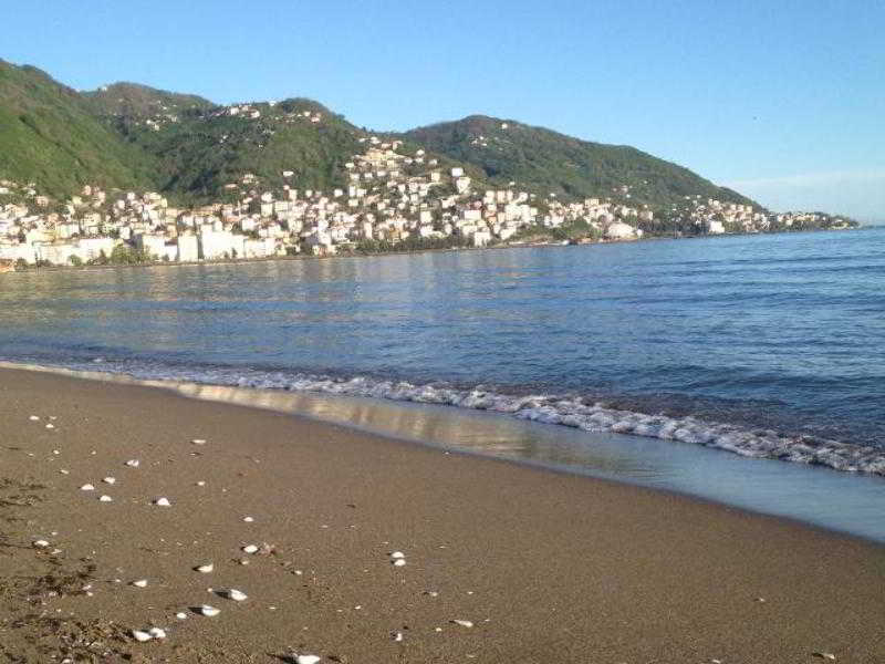 Anemon Ordu fotoÄŸrafÄ±