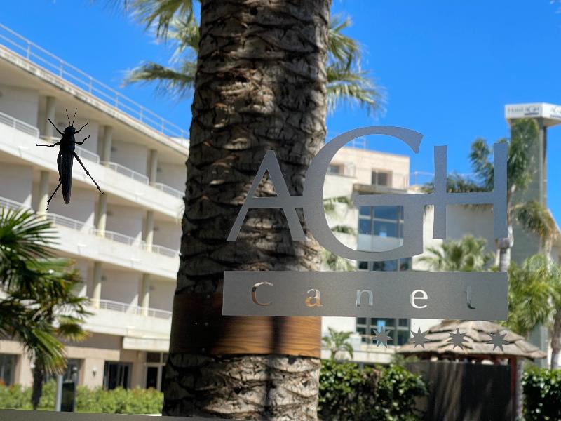 AGH Canet - Genel