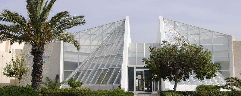 Al Jazira Beach - Aktivite