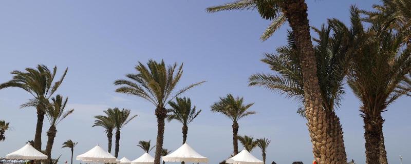 Al Jazira Beach - Genel
