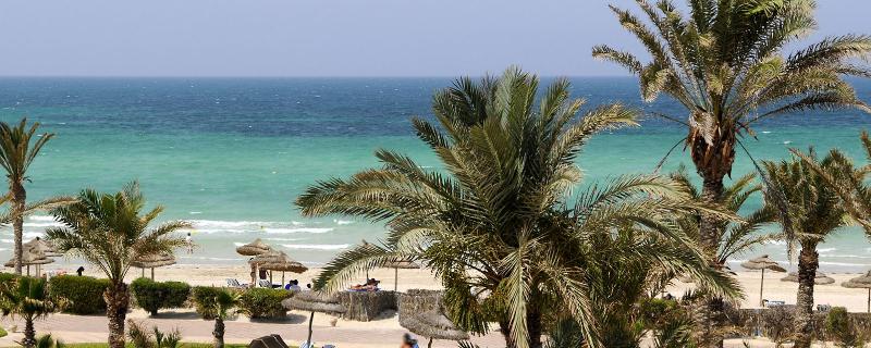 Al Jazira Beach - Plaj