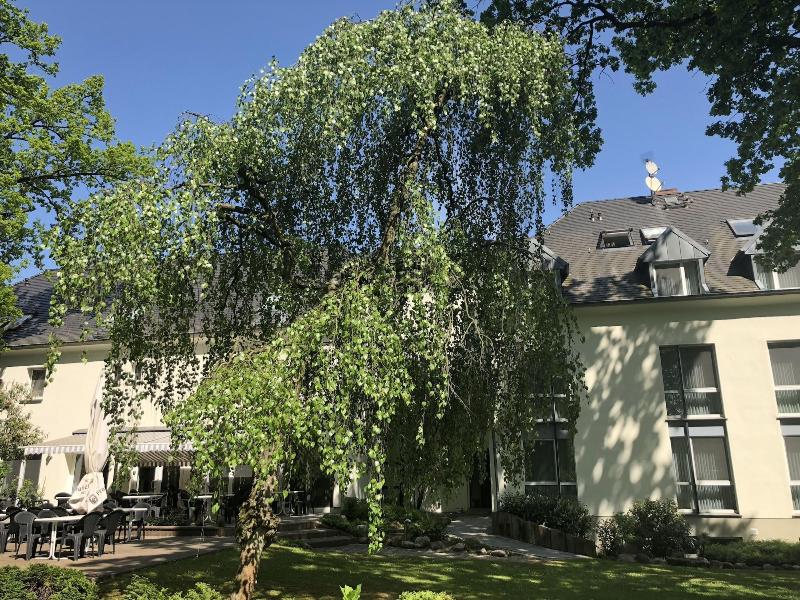 Hotel Luther Birke - Genel