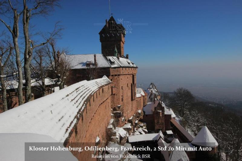 Hotel Waldblick BSR - Aktivite